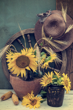 Bouquet with sunflowers in vase placed in the garden.の写真素材