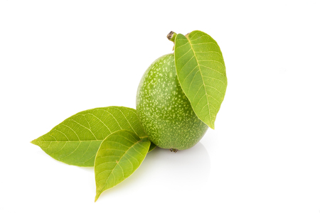 Young green walnut with leaves isolated on white background. Vegetarian food.の写真素材