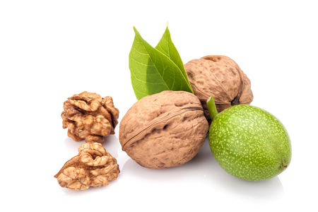 young and old walnuts with leaves isolated on whit backgroundの写真素材
