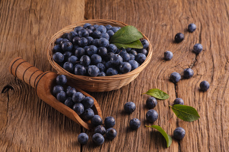Fresh sloes in bowl on wooden table. Natural remedyの写真素材