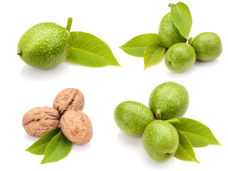 Collection of green nuts on white backgroundの写真素材
