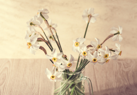 Still life with daffodils. Fresh daffodils in vase.の写真素材