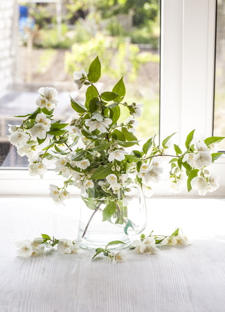 Still life with jasmine flowers on the windowの写真素材