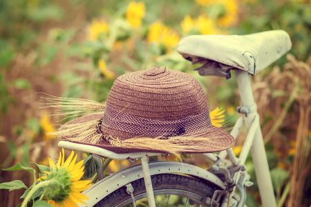 Old bicycle in field with sunflower and wheat.の写真素材