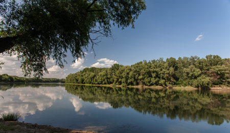 summer landscape with river and blue sky