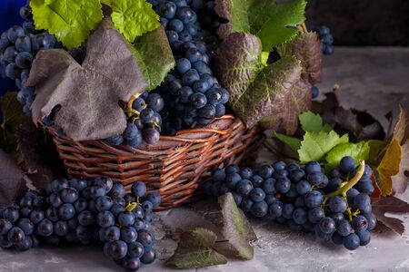 Still life with red grapes in basket. Rustic style.の写真素材