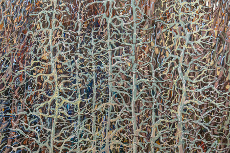 Hand drawn acrylic painting. Abstract art background. Acrylic painting on canvas. Color texture....