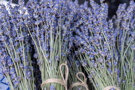 bunch of lavender in store of flowersの写真素材