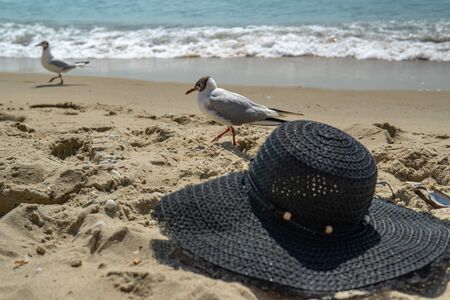 Summer holidays relax on the beach abstract background. Women's hat on the beach sand, against the background of the sea and gulls.の写真素材