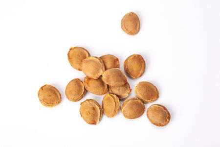 apricot kernel isolated on white backgroundの写真素材