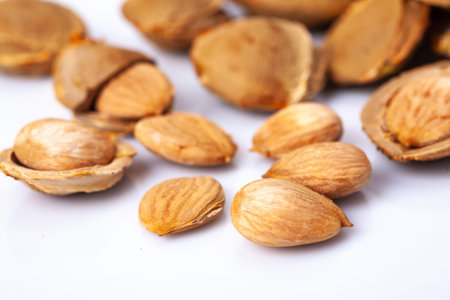apricot kernel isolated on white background