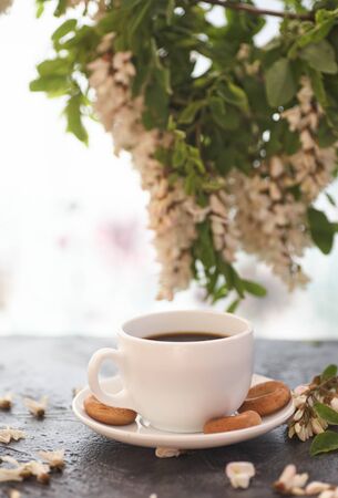Cup of coffeel and acacia closeup. Nutrition. background with a cup of Coffee and acacia flowers.の写真素材