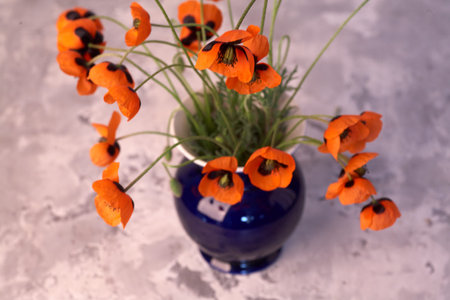 Beautiful red poppy flowers in vase a grey home decor background.の写真素材