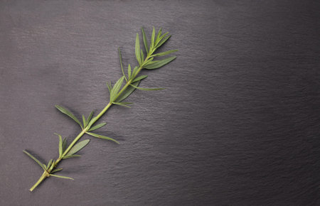 Rosemary herb on stone table. Top view with copy spaceの写真素材