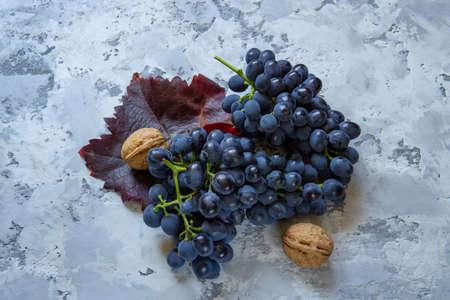 Fresh red grapes and wallnuts on the stone table.の写真素材