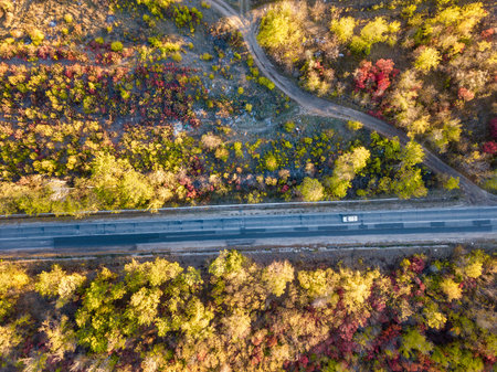 Aerial view of colorful forest in autumn with road cutting through