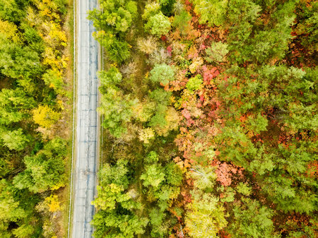 Aerial view of colorful forest in autumn with road cutting through