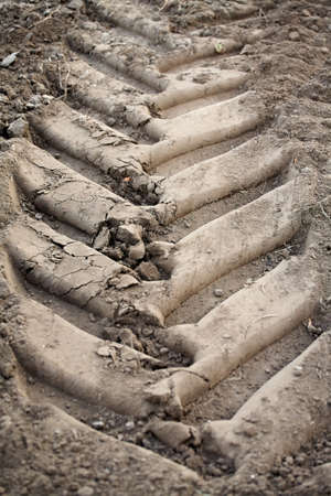 Tractor trail closeup on the muddy ground after rainの写真素材