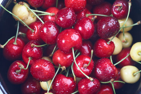 Ripe red cherries with sticks background