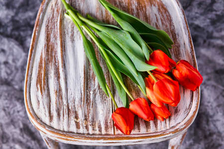 red tulips on a wooden vintage old white chairの写真素材