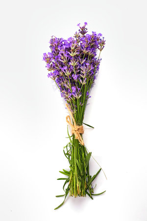 Bunch of Lavender flowers isolated on white background.