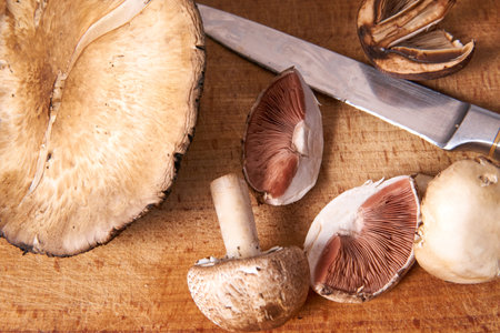 Wild foraged mushrooms and knife on a wooden cutting boardの写真素材