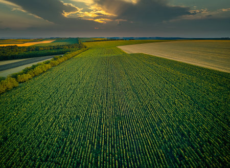 Aerial view over the agricultural fields at sunsetの写真素材