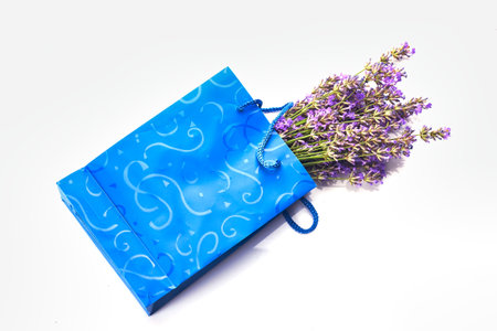 Bunch of Lavender flowers isolated on white background.