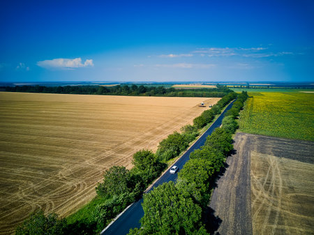 Aerial view over the agricultural fieldsの写真素材