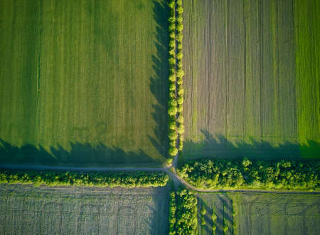 Aerial view over the agricultural fieldsの写真素材