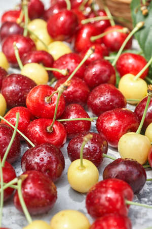 Ripe red and yellow cherries on gray backgroundの写真素材