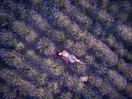 Young slim fair-skinned girl brunette beautiful lies in lavender field. Top view.の写真素材