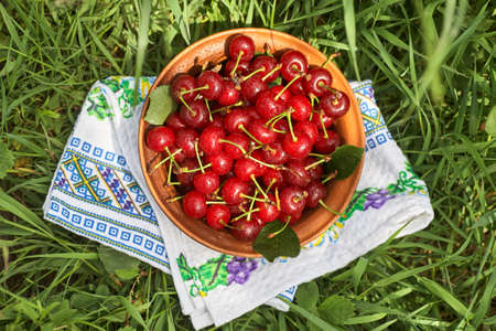 A bowl full of sweet ripe red cherries standing on the green grass.の写真素材