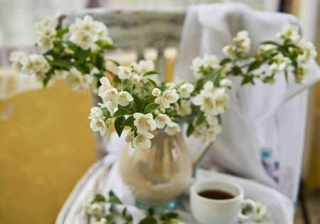 Jasmine flowers in a white vase. Stillife with jasmine and cup of coffee.の写真素材