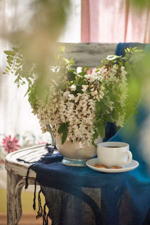 Acacia flowers in white vase. Still life wit acacia flowers on vintage shair.の写真素材