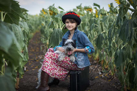 Cute girl with old suitcase and dog in a sunflower field.の写真素材