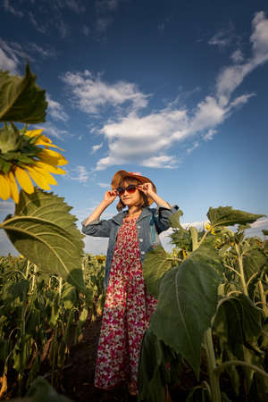 Cute girl in a sunflower field.の写真素材