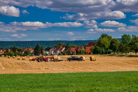 Rolls haystacks straw on field, harvesting wheat. Rural field with bales of hay. Landscapeの写真素材