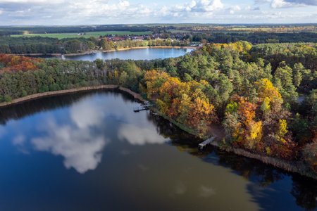 Aerial shot of beautiful lake surrounded by forest in a calm autumn day. germany.の写真素材