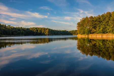 Natural landscape of the lake, high definition, the movement of waves against the background of the autumn forest. The reflection of clouds on the ripples of water. Germany.の写真素材