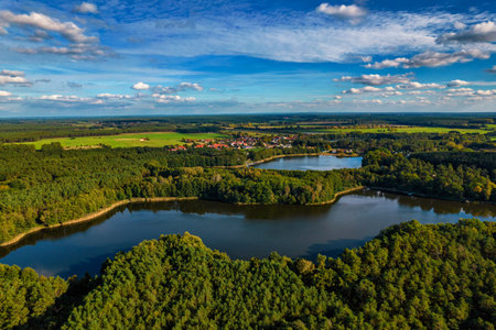 Aerial shot of beautiful lake surrounded by forest in a calm autumn day. Germany.の写真素材