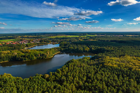 Aerial shot of beautiful lake surrounded by forest in a calm autumn day. Germany.の写真素材