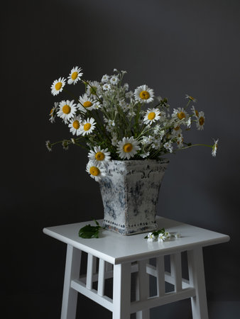 Still life chamomile. Rustic Still Life.の写真素材