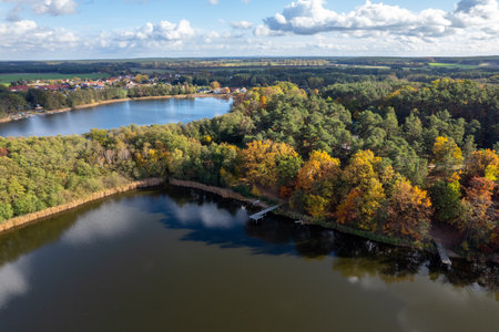 Aerial shot of beautiful lake surrounded by forest in a calm autumn day. Germany.の写真素材
