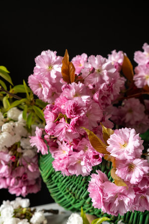 Spring bouquet of cherry tree branches. Cherry blossom Close-up shot.の写真素材