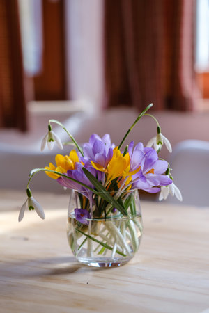 Bouquet of purple crocus in vase. Spring flowers in a vase.の写真素材