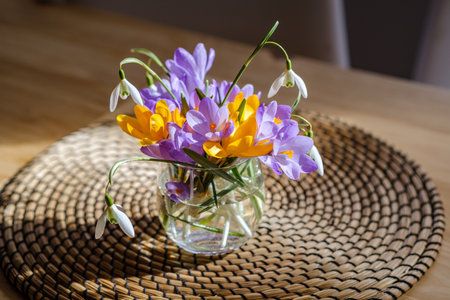 Bouquet of purple crocus in vase. Spring flowers in a vase.の写真素材