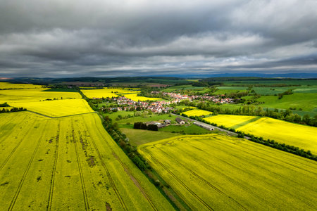 A field of yellow flowers with a small town in the background. The sky is cloudy and the sun is shining through the clouds. Germany.の写真素材