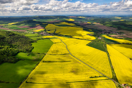Top view of rapeseed fields. Yellow rapeseed field with stripes and abstract landscape. Germany.の写真素材
