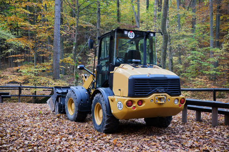 A Compact Loader in a Beautiful Autumn Forest Landscape Perfect for Construction Workの写真素材